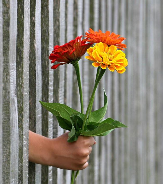 A hand holding flowers through a fence.