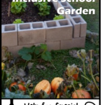 Raised bed garden growing pumpkins and other vegetables.